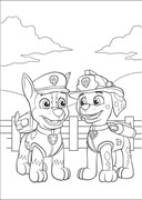 gonshchik-i-marshall-vypolnili-zadaniie