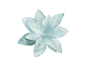 WINTER-LOVE-DBJ-ELEM-8