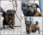 Be-Funky-collage-17.jpg&key=f13db2450f11