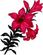 0_17d81f_5500378e_orig