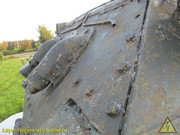 IMG-9305