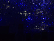 IMG_20211224_234711_tigr