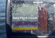 [Image: PERCH-CLOUDS.jpg]