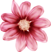 WINTER-LOVE-DBJ-ELEM-49