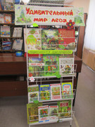 IMG-4654