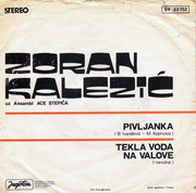 Zoran Kalezic - Diskografija R-2084172-1263080969