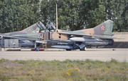 787 IAP Mig-23UB 62 Blue_7902209 (8)