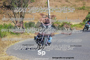 IMG-2387