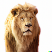 DALL-E-Photo-of-a-lion-White-background