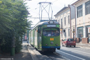 IMG-7408