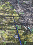 446E1E79-0E1D-47D4-99FE-882158D625A2