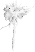 DS-WTL-Element-8