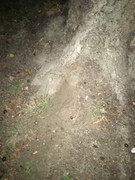 2210A150-4C5C-4E94-AC01-BFB4E9EA9517