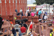 IMG-0218