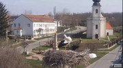 Kép