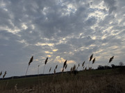 IMG-0879