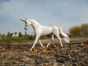 Horse avatar with horn