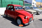 IMG-6073