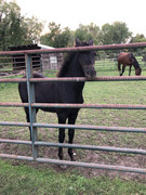 2-EC81-CEB-AD45-4-E3-E-93-B8-7-F2-A4-E0-BD4-A3