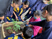 2fbaedb7-108e-46c5-a6f7-684ad76872c3