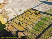DSCN9159