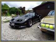 DSC09535.jpg