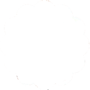 Untitled343_20231125224854