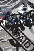 IMG-1620