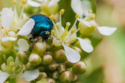 IMG-20190424-115140