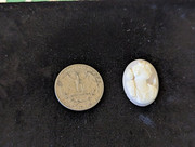 PXL_20230429_192019468