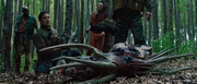 vlcsnap-2024-02-03-14h41m05s895.png