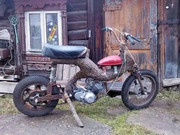 290647253_3361507347505686_2133907624018448667_n