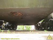 IMG-5315