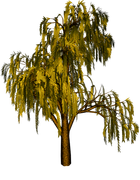 TADD_elements_Shimmer_Fall_49