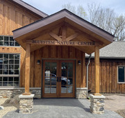 bluestem