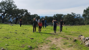 IMG-20251129-141151