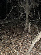 4FD4FA63-5B2E-4002-8130-1D51141F056E