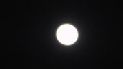 2.12.bright moon XII