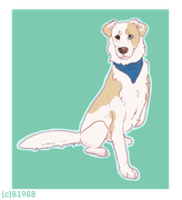 8DC0ECCC-74B0-4AC7-91AC-F1F558AD7FDF