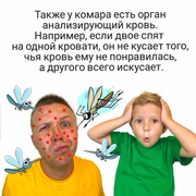 https://i.postimg.cc/JHkGhBqd/075.png