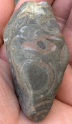 Caliza con fósiles de conchas IMG-6516
