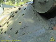 IMG-5560