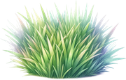 tk-Bunny-Kisses-grass2
