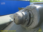 IMG-3560