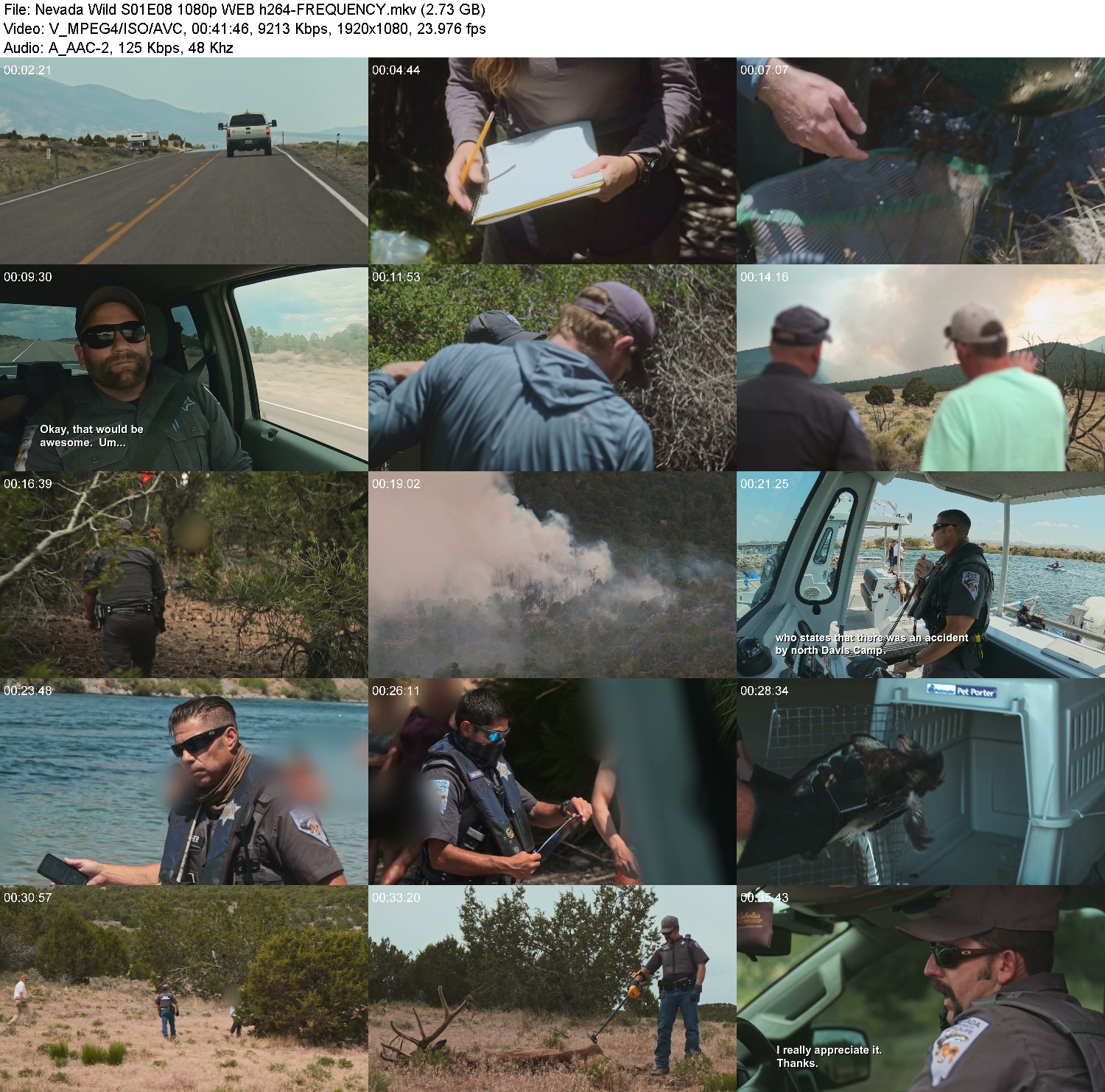 [Image: 7zg425ucmexi.jpg]