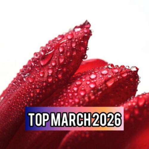 VA-Top-March-2026-PR306-WEB-2026-Zz-Zz.j