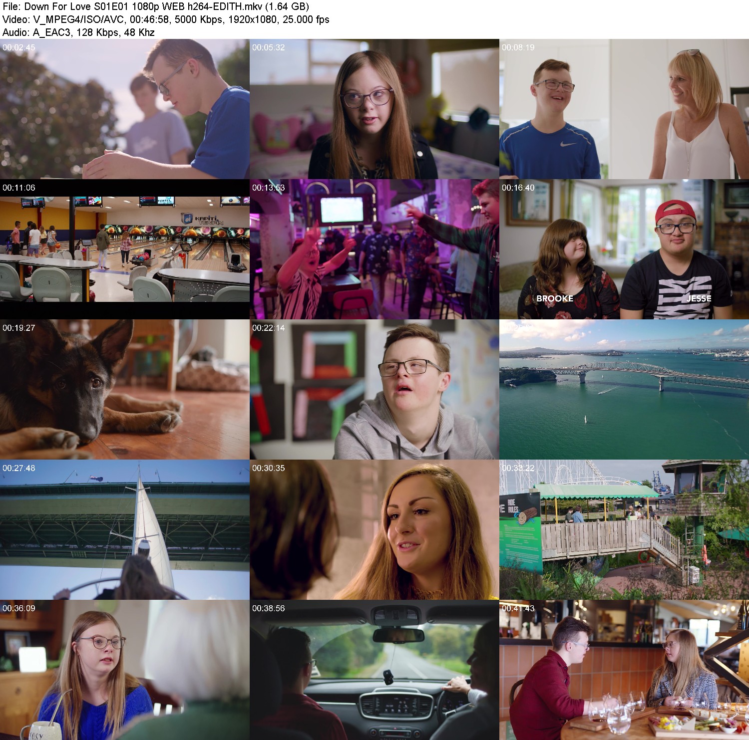 [Image: 9pfmui6m0po8.jpg]