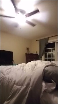 [Image: Voyeur23945122515.jpg]
