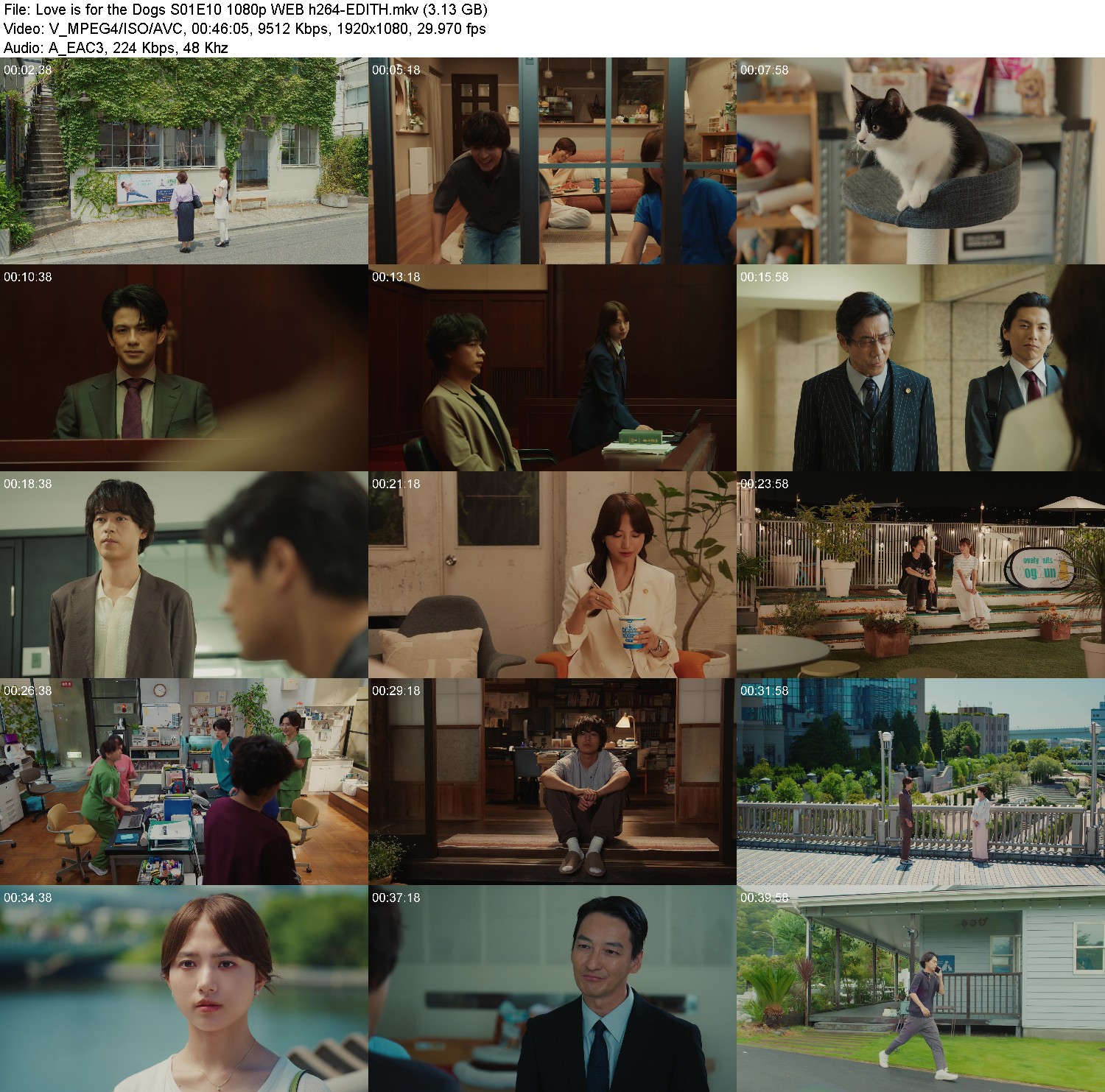 [Image: st3hn54bbp4q.jpg]