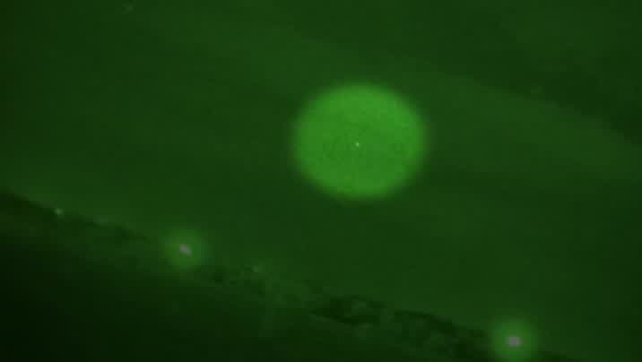 [Image: drv61v0l0ijy.jpg]